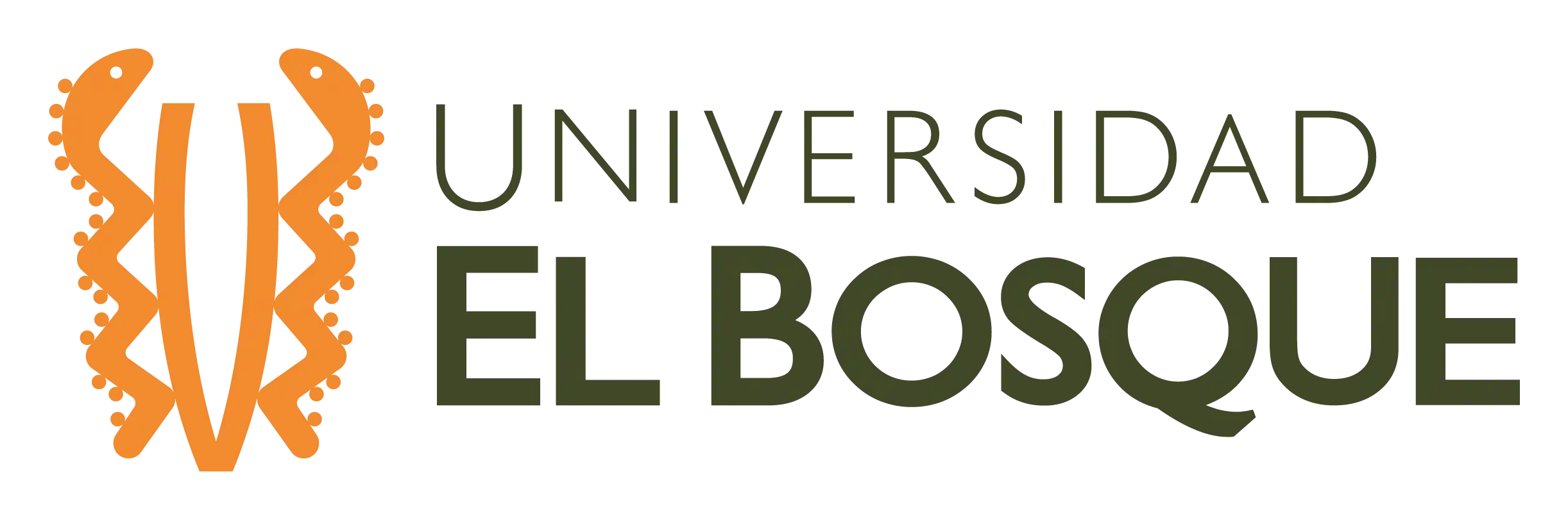 universidadbosque